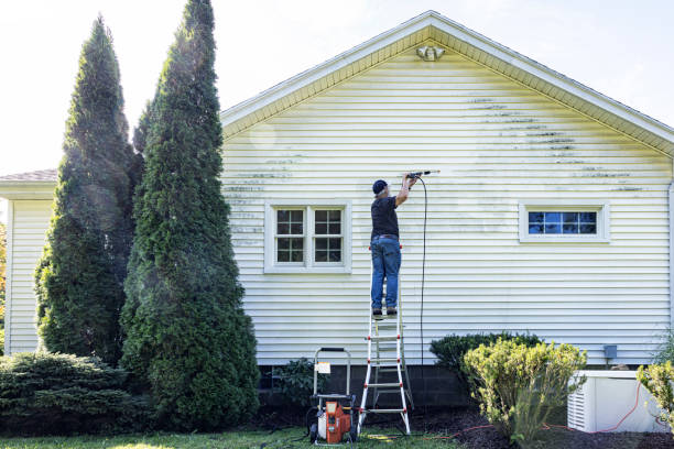 Trusted Lacombe, LA Pressure Washing Services Experts